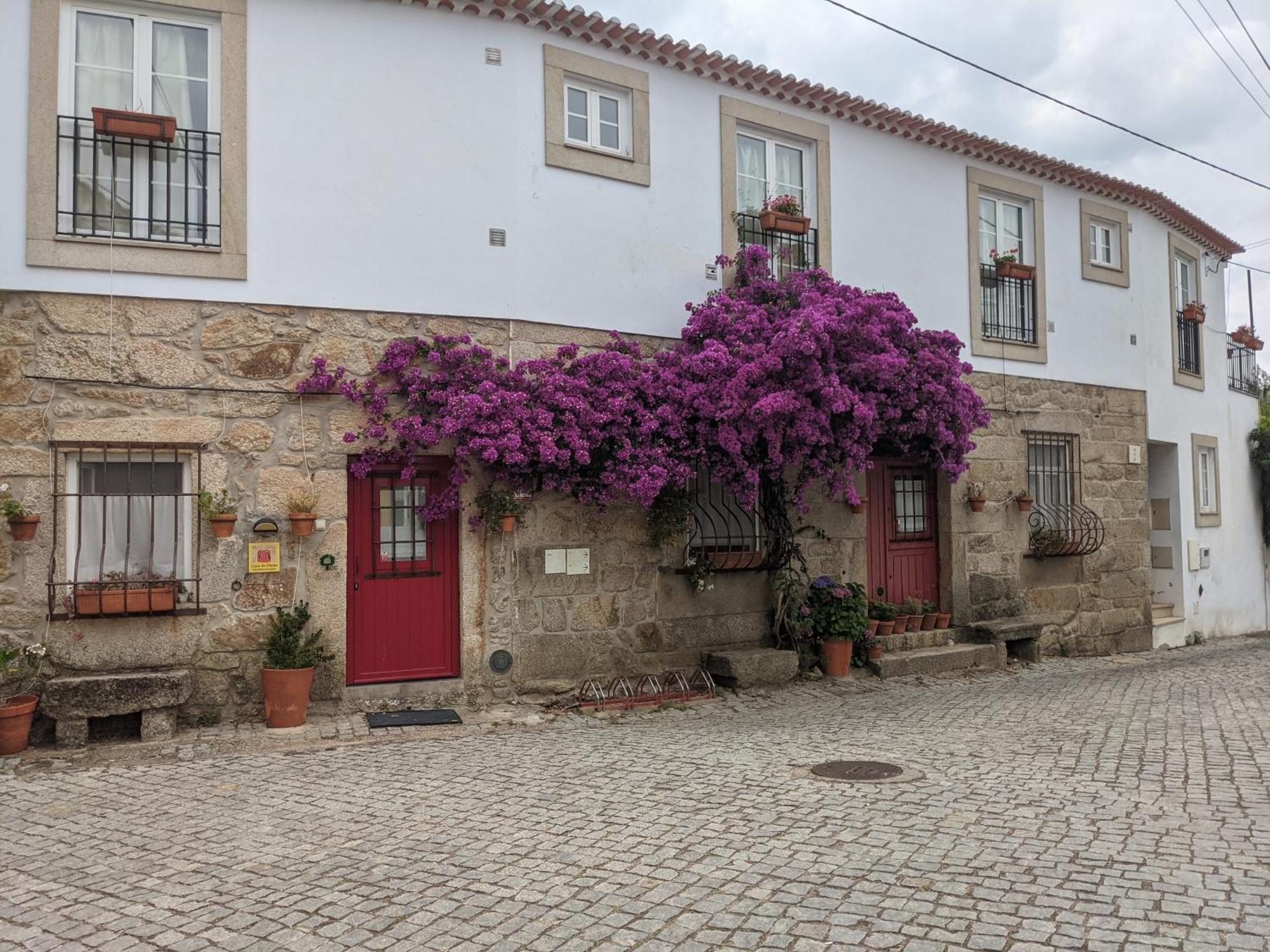 Salvaterra do Extremo Casa Do Fornoゲストハウス エクステリア 写真